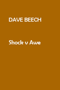 Beech_Shock